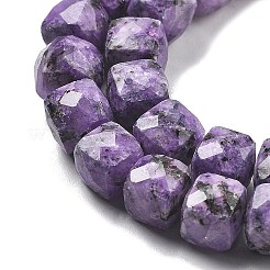 Dyed Natural Sesame Jasper Imitation Charoite Beads Strands&nbsp;G-C179-B01-01
