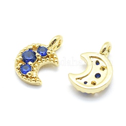 Brass Charms&nbsp;ZIRC-J040-35G-01-NR
