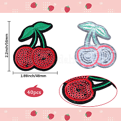 40Pcs Computerized Embroidery Cloth Iron On Patches&nbsp;PATC-CY0001-21