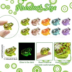 Luminous Resin Frog Micro Landscape Scene Ornaments&nbsp;DIY-YWC0009-03A