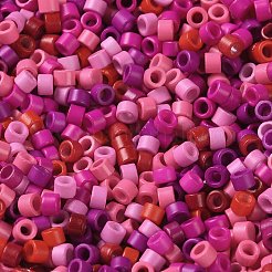 Baking Paint Glass Seed Beads&nbsp;SEED-S042-05A-09
