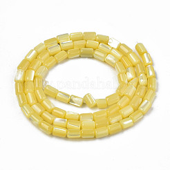 Natural Trochid Shell/Trochus Shell Beads Strands&nbsp;SHEL-N003-26-B10