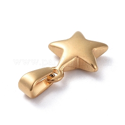 304 Stainless Steel Charms&nbsp;X-STAS-I127-067G