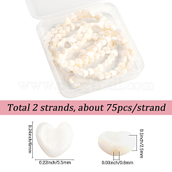 2 Strands Natural Trochid Shell/Trochus Shell Beads Strands&nbsp;SSHEL-SC0001-37