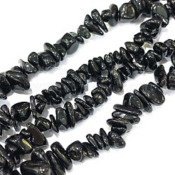 Natural Black Tourmaline Chip Bead Strands&nbsp;X-G-L444-08