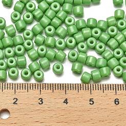 Baking Paint Pearlized Glass Seed Beads&nbsp;SEED-C001-04A-16