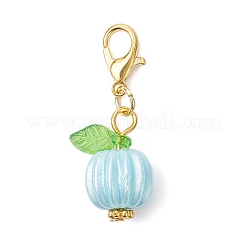 Acrylic Pendant Decorations&nbsp;HJEW-JM04185