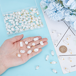 120Pcs 2 Colors 10 Styles ABS Plastic Imitation Pearl Pendabts&nbsp;PALLOY-AR00022