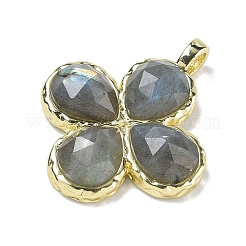 Natural LabradoriteFaceted Pendants&nbsp;G-A308-01G-14
