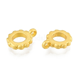 Alloy Charms&nbsp;FIND-G035-13MG