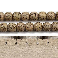 Natural Rudraksha Bodhi Seed Beads Strand&nbsp;WOOD-B010-A03-8x9mm