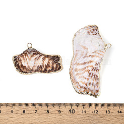 Natural Sea Shell Big Pendants with Golden Brass Edge & Iron Loops&nbsp;BSHE-T014-21