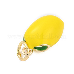 Brass with Enamel Charms&nbsp;LS-KK-Q096-16A-G