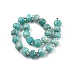 Natural Amazonite Beads Strands&nbsp;G-N327-08F