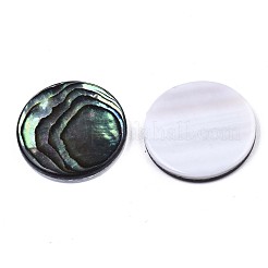 Natural Abalone Shell/Paua Shell Cabochons&nbsp;SSHEL-N034-72C-01