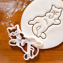 Plastic Mold&nbsp;DIY-O020-02