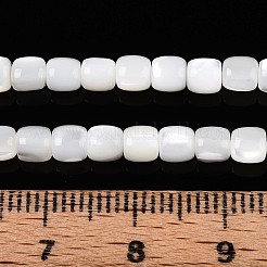 Natural Trochid Shell/Trochus Shell Beads Strands&nbsp;SSHEL-N040-08