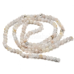 Natural Rainbow Moonstone Beads Strands&nbsp;G-A097-A02-03