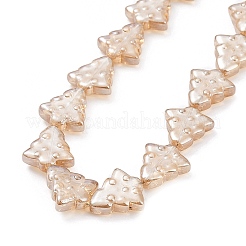 Transparent Electroplate Glass Beads Strands&nbsp;EGLA-C002-PL03