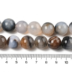 Natural Dendritic Agate Beads Strands&nbsp;G-A248-A07-06