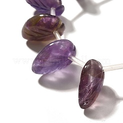 Natural Amethyst Beads Strands&nbsp;G-P561-A02-01