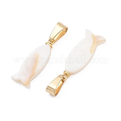 Natural Sea Shell Pendants&nbsp;PALLOY-JF05362
