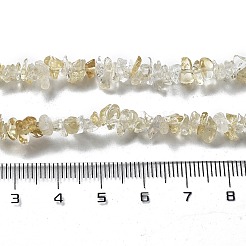 Natural Supper 7 Rutilated Quartz Chip Beaded Necklaces for Men Women&nbsp;NJEW-G159-01H