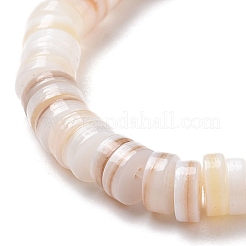 Natural Freshwater Shell Beads Strands&nbsp;X-SHEL-G011-09-A02