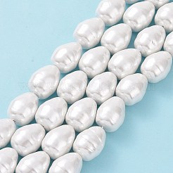 Shell Pearl Beads Strands&nbsp;BSHE-F013-11A
