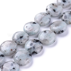 Natural Sesame Jasper/Kiwi Jasper Beads Strands&nbsp;G-G805-D13