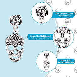 50Pcs Tibetan Style Alloy European Dangle Charms&nbsp;FIND-DC0002-79