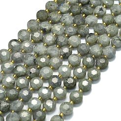 Natural Labradorite Beads Strands&nbsp;G-C116-A98-01