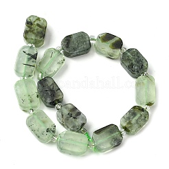Natural Prehnite Beads Strands&nbsp;G-C098-A03-01