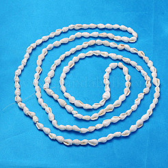 Natural Trumpet Shell Beads Strands&nbsp;S02KI011