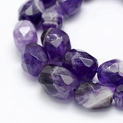 Natural Amethyst Beads Strands&nbsp;G-P322-45