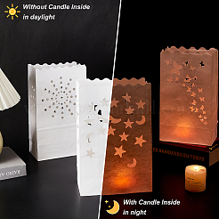30Pcs 6 Styles Luminary Bags&nbsp;ABAG-GA0001-31