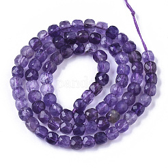 Natural Amethyst Beads Strands&nbsp;G-R460-028B
