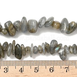Natural Labradorite Beads Strands&nbsp;G-I225-15A