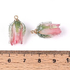 Transparent Acrylic Pendants&nbsp;SACR-T017-53B