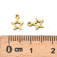 201 Stainless Steel Charms&nbsp;STAS-K310-06G