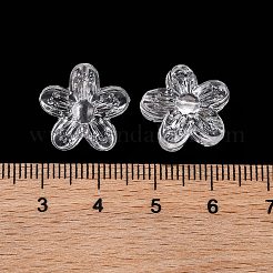 Transparent Acrylic Beads&nbsp;OACR-M011-04