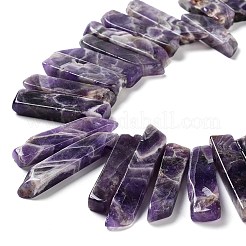 Natural Amethyst Beads Strands&nbsp;G-L551B-08A