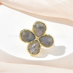 Natural Labradorite Faceted Adjustable Finger Rings for Women&nbsp;RJEW-A092-01G-12