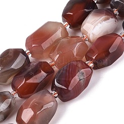 Natural Red Botswana Agate Beads Strands&nbsp;G-N362-07A-06
