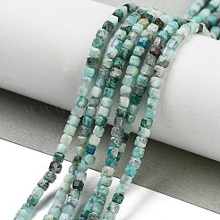 Natural Chrysocolla Beads Strands&nbsp;G-H042-B29-01