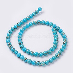 Sea Shell and Synthetic Turquoise Assembled Beads Strands&nbsp;X-G-G758-04-10mm