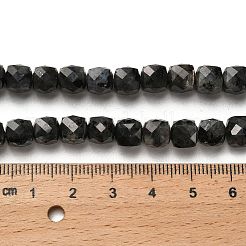 Natural Larvikite Beads Strands&nbsp;G-H078-C18-01