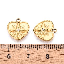 304 Stainless Steel Charms&nbsp;STAS-N109-176G