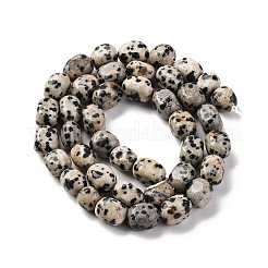 Natural Dalmatian Jasper Beads Strands&nbsp;G-G146-A24-01