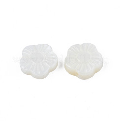 Natural Freshwater Shell Beads&nbsp;SHEL-N026-184